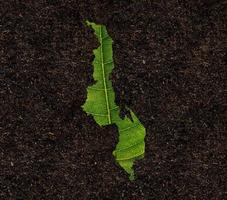 mapa do malawi feito de folhas verdes no conceito de ecologia de fundo do solo foto