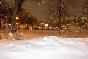 galhos de árvores cobertos de fundo de neve foto