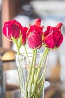 rosas vermelhas em um vaso foto