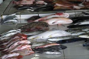 Maldivas masculinas comprando no mercado de peixe foto