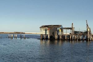 criação de mexilhões em chioggia itália foto