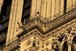 detalhe da catedral de notre dame paris foto