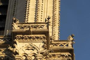 detalhe da catedral de notre dame paris foto