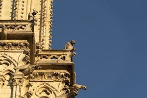 detalhe da catedral de notre dame paris foto