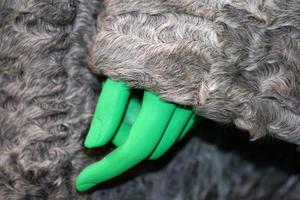 mão verde em detalhes de roupas de peles de animais foto