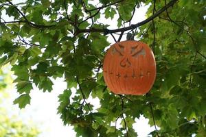 abóbora de halloween esculpida pendurada em uma árvore foto