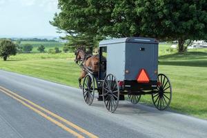 vagão buggy em Lancaster Pensilvânia Amish Country foto