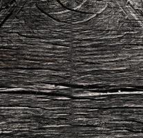 textura de grão de madeira foto