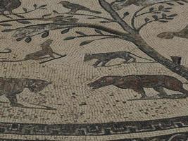mosaico em volubilis ruínas romanas em marrocos- ruínas romanas mais bem preservadas localizadas entre as cidades imperiais de fez e meknes foto