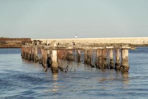 criação de mexilhões em chioggia itália foto