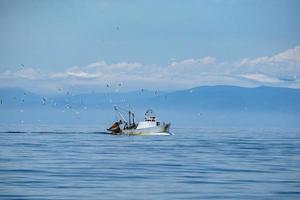 barco de pesca de pescador com muitas gaivotas foto