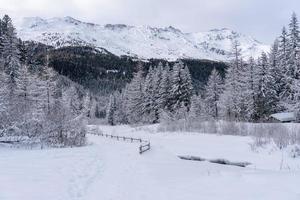 neve caminhada floresta panorama paisagem montanhas de santa caterina Valfurva Alpes italianos no inverno foto