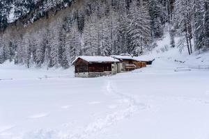 neve caminhada floresta panorama paisagem montanhas de santa caterina Valfurva Alpes italianos no inverno foto