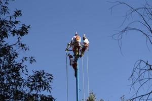 cidade do méxico, méxico - 30 de janeiro de 2019 - a antiga dança dos voadores los voladores foto