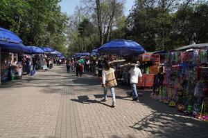 cidade do méxico, 3 de fevereiro de 2019 - parque da cidade chapultepec lotado de pessoas no domingo foto