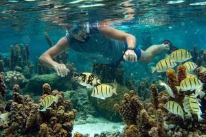 snorkeling na polinésia francesa abaixo do mundo foto