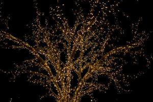 guirlandas na árvore. lâmpadas no escuro. foto