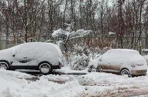 carros cobertos com neve branca fresca foto