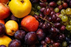 maçãs ameixas e uvas em um fundo de madeira recém-lavado em um prato foto