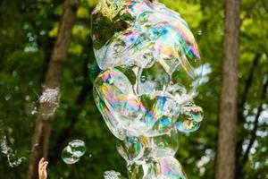 bolhas de sabão, fundo natural foto