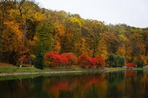 paisagem de outono no parque foto