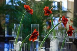 flores vermelhas em frascos de vidro em um restaurante foto