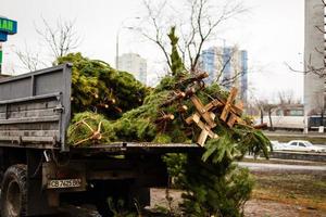 árvore de natal no carrinho pronto para retirada foto