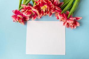 composição criativa de primavera de tulipas com papel azul pastel e folha branca para inscrição. conceito mínimo de configuração plana. cartão postal pronto, banner. foto