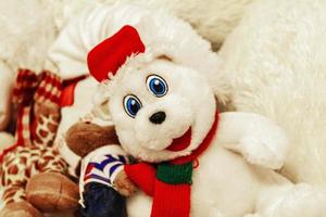brinquedos de pelúcia de urso fofinho branco em casa na alemanha. foto