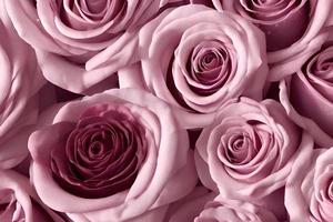 decoração romântica um buquê de rosas cor de rosa foto