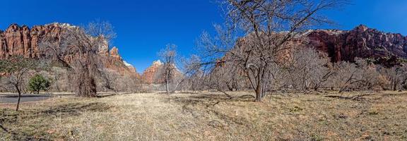 impressão da trilha de caminhada até o mirante do desfiladeiro de pine creek no parque nacional de zion foto