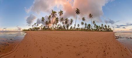 vista panorâmica da praia infinita e deserta da praia do forte na província brasileira da bahia durante o dia foto