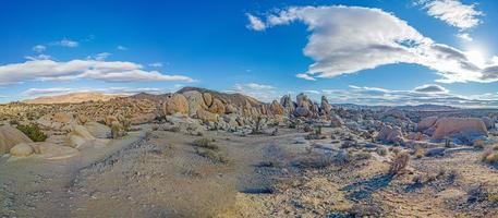 imagem da área de arch rock no parque nacional yoshua tree com cactos na califórnia durante o dia foto