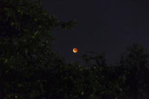 tiro noturno da lua de sangue no eclipse lunar foto