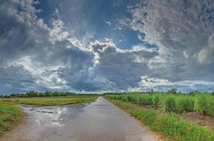 imagem de uma estrada de terra através de um campo de espargos com dramáticas formações de nuvens de uma tempestade que se aproxima foto