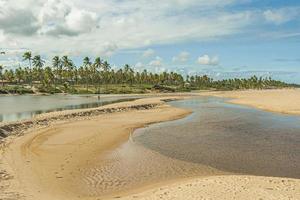 vista panorâmica sobre o estuário do rio pojuca na província brasileira da bahia durante o dia foto