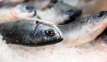 peixe fresco no mercado de peixe foto