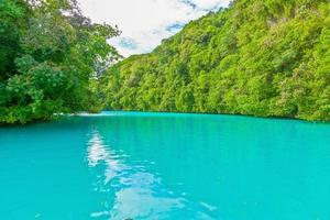 vista sobre a lagoa colorida da via láctea em palau foto