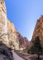 impressão do caminho a pé do rio virgem no parque nacional de zion no inverno foto