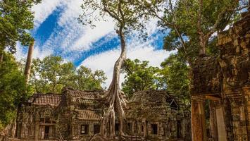 ruínas místicas e famosas de âncora wat no camboja sem pessoas no verão