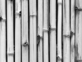 fundo de padrão de parede de madeira de bambu branco de textura foto