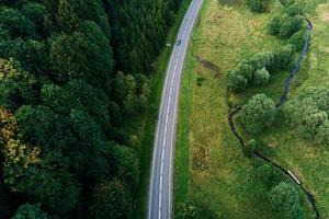 carro em movimento na estrada através da floresta de pinheiros, vista aérea foto