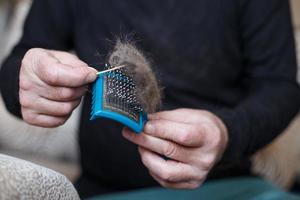 a mão de um homem segurando a escova de pente de gato com pelo cinza e limpando-a foto