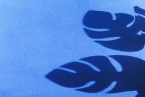 sombra de folha monstera sobre fundo azul com espaço para texto. fundo da natureza foto