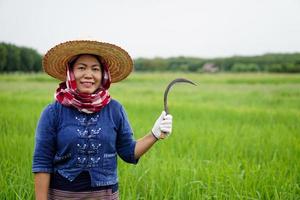 feliz agricultora asiática fica de pé e segura a foice no arrozal. conceito, agricultura orgânica. use ferramentas agrícolas à mão para se livrar de ervas daninhas em vez de herbicida. colheitas seguras foto