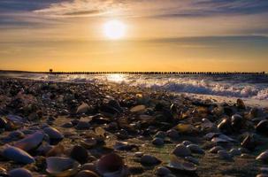 praia de conchas à beira-mar no mar báltico. pôr do sol, espigões ao fundo. costa foto