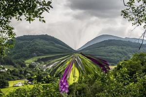 fundo de paisagem de ilustração digital foto