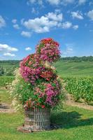 paisagem de vinhedos perto de epernay na região de champanhe, frança foto