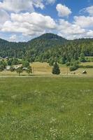 paisagem no planalto de pokljuka, parque nacional de triglav, eslovênia foto
