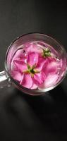 retrato de uma flor rosa chinensis em copo de vidro cheio de água, ilustração do conceito romântico foto